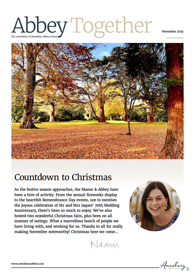 Cover for November 2025 AAG Newsletter