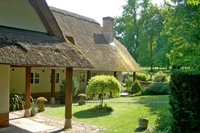 thatch