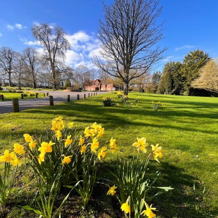 daffs