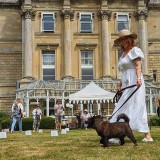 AAG dog show a.jpeg on show