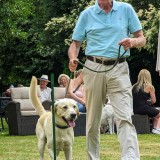 AAG dog show h.jpeg lab