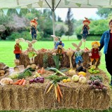 AAG harvest e.jpg harvest display