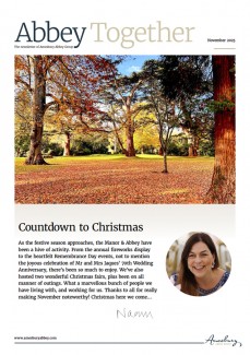 Cover for November 2025 AAG Newsletter