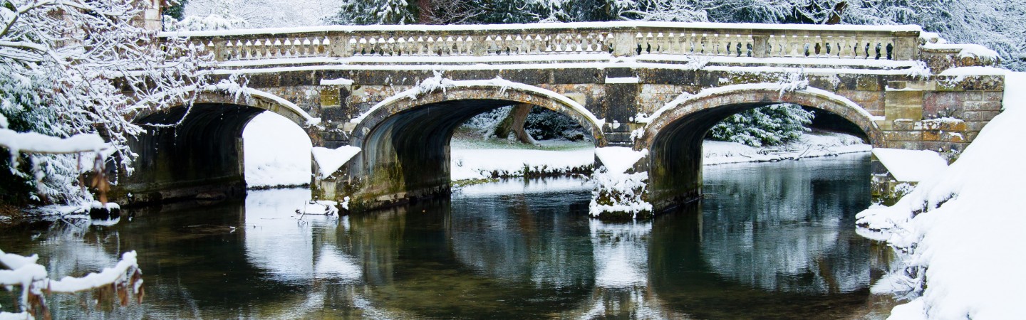 Bridge