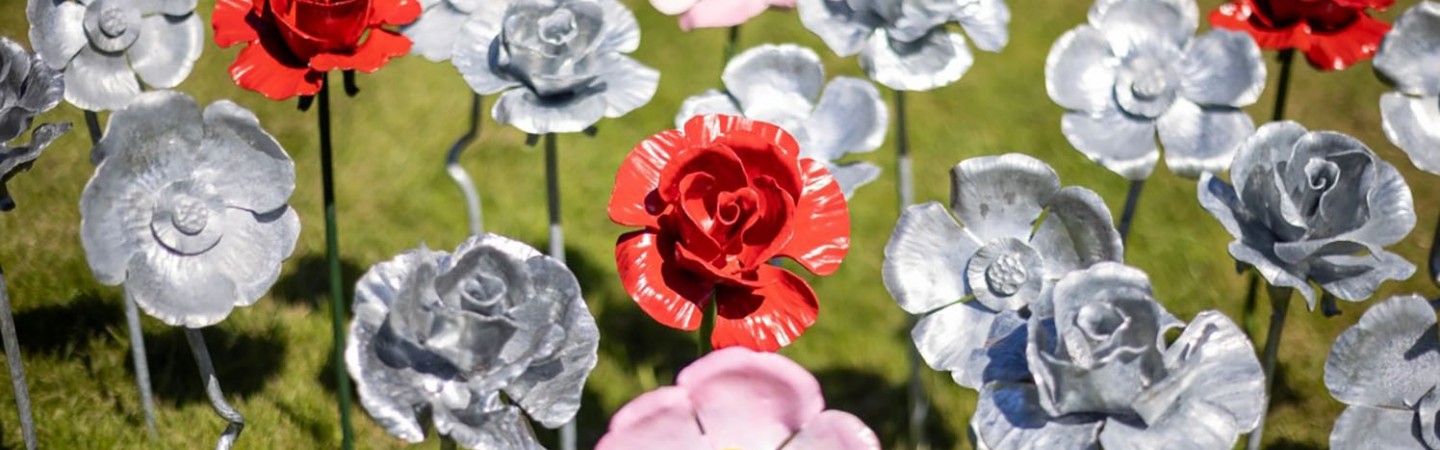 roses