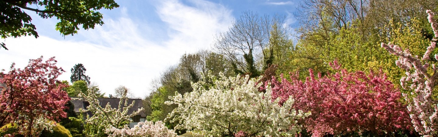 respite care
